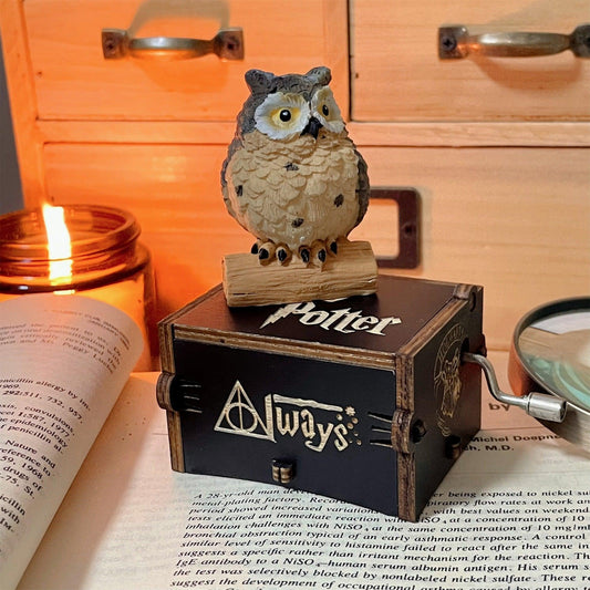BOÎTE À MUSIQUE HARRY POTTER (CORDES) + HIBOU