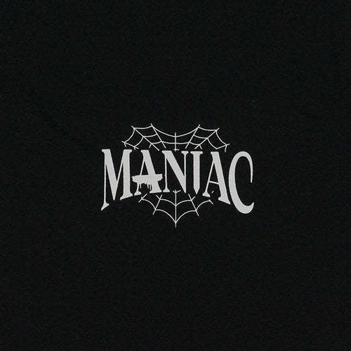 STRAY KIDS MANIAC MANCHES LONGUES